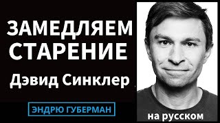 Доктор Дэвид Синклер: Замедление и обращение вспять старения | Лаборатории Губермана на русском