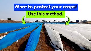 Want to protect your crops use this method.