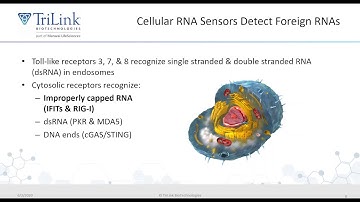 SpotLight Workshop  CleanCap® Presented by Dr  Anton McCaffrey