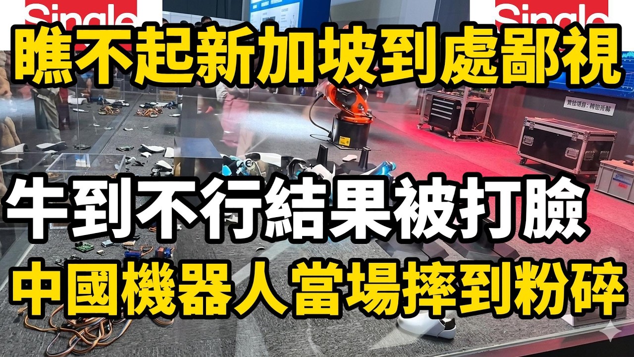 瞧不起新加坡到處鄙視這個，鄙視那個，到處吹牛結果中國機器人在上海當場摔到粉碎，臉被打腫