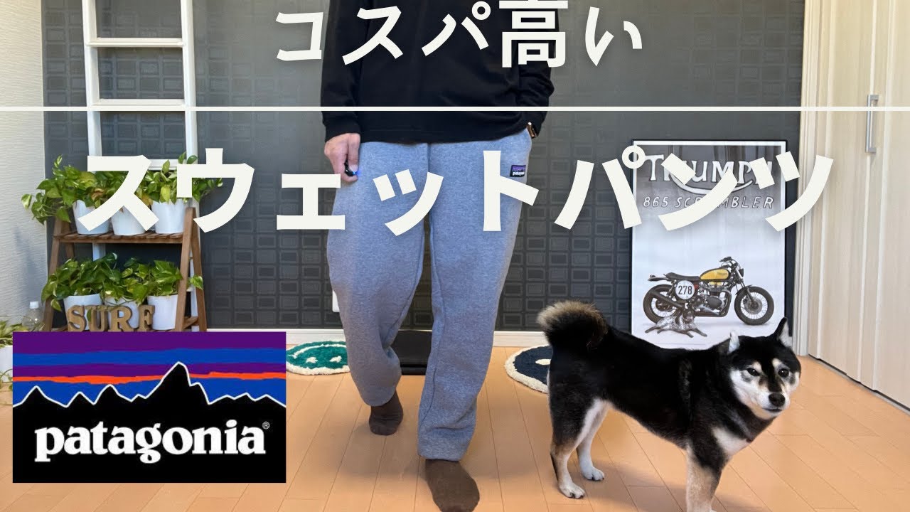 パタゴニア】パタゴニアにしては割安な値段なスウェット【patagonia