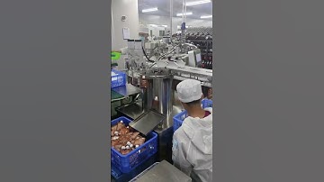 Máy chiết rót túi có vòi gọn nhẹ, hiệu suất cao #machine #maychietrot