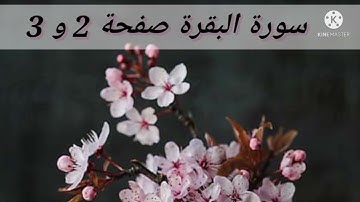 سورة البقرة صفحة 2 و 3