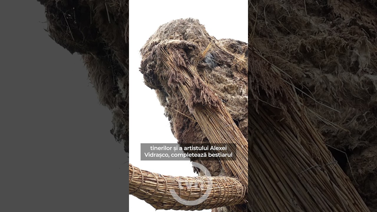 UN MAMUT LA DURUITOAREA VECHE