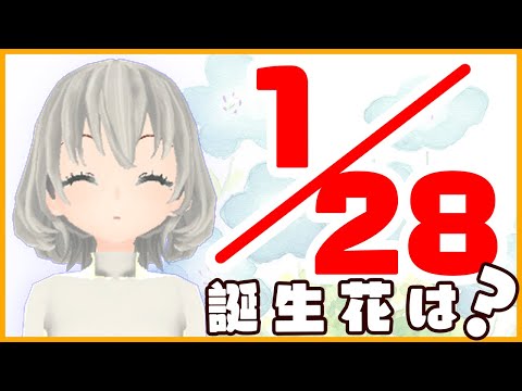 【花言葉】１月２８日の誕生花は？／花白もか