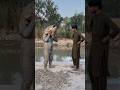 #shorts #shortvideos #youtubeshorts #reels