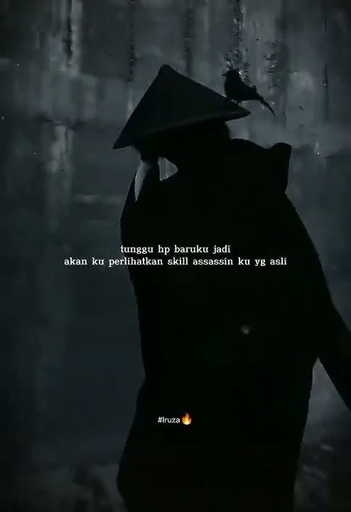 Story wa assassin