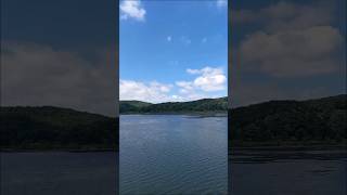 국가대표 JKD 장경덕 산책 - 기흥 호수공원 영상