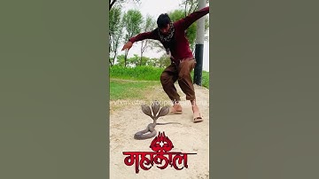 I hope this one makes it! #molinarosnakelab #snakebreeding #ballpython #python #eggcutting #shorts