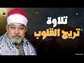 الشيخ السيد سعيد سورة الانعام تلاوة أسطورية أبهرت الحاضرين