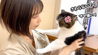 ママが息子猫に嫌われちゃいました…泣