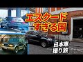 エスクードの多さ、ポーランドは異常/フィットやパジェロも捕獲【ウナ丼 クルマバカの旅 ワールドシリーズ ポーランド編】