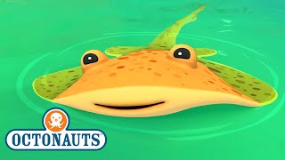 @Octonauts - The Electric Torpedo Rays | Full Episode 50 | @OctonautsandFriends