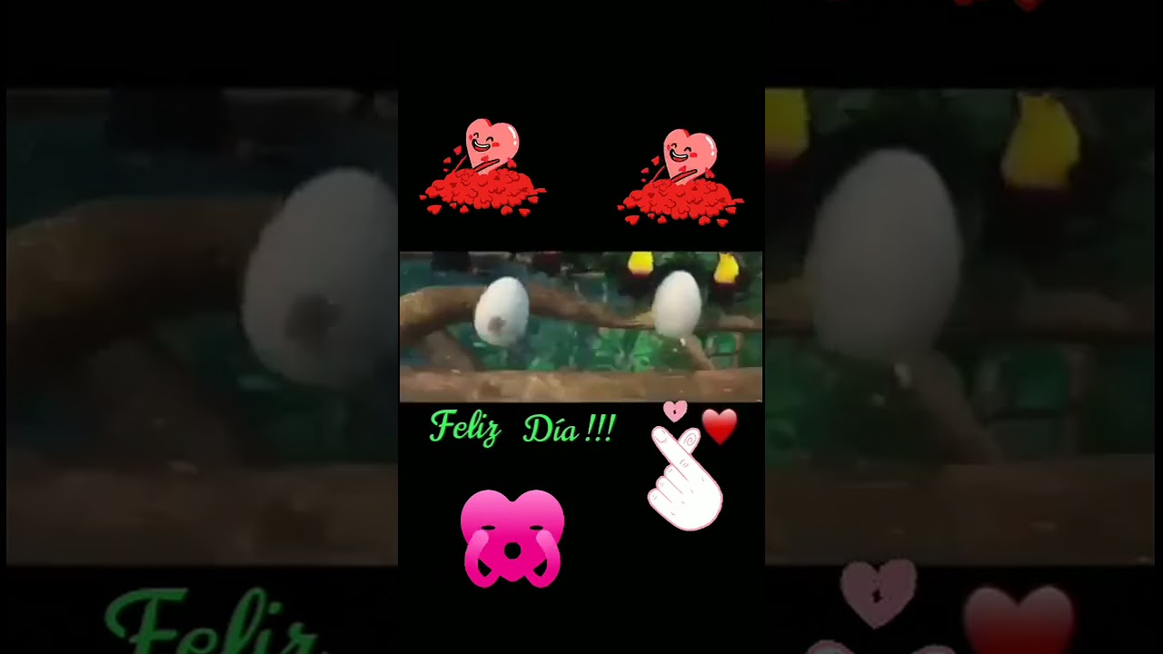 Uplifting Animated Birds Celebrating a Special Day!