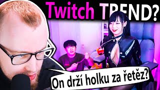 Tohle ukazují holky na Twitchi!
