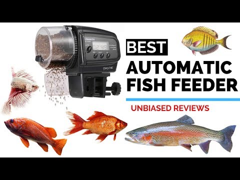10 Best Automatic Fish Feeders The Top Best Fish Feeder Review