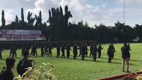 Tarian Seka Timika. ( PPB Papua BUMN Let 1 2020  )