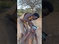 When the tribals saw the comb for the first time#shortsvideo #viralvideo
