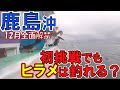 【鹿島ヒラメ】初挑戦でもヒラメは釣れる?!メモ(2020/12/05)長岡丸