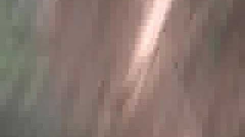 Blair Witch romanian version