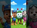 #pawpatrol #cocomelon #pawpatroltoys #toys