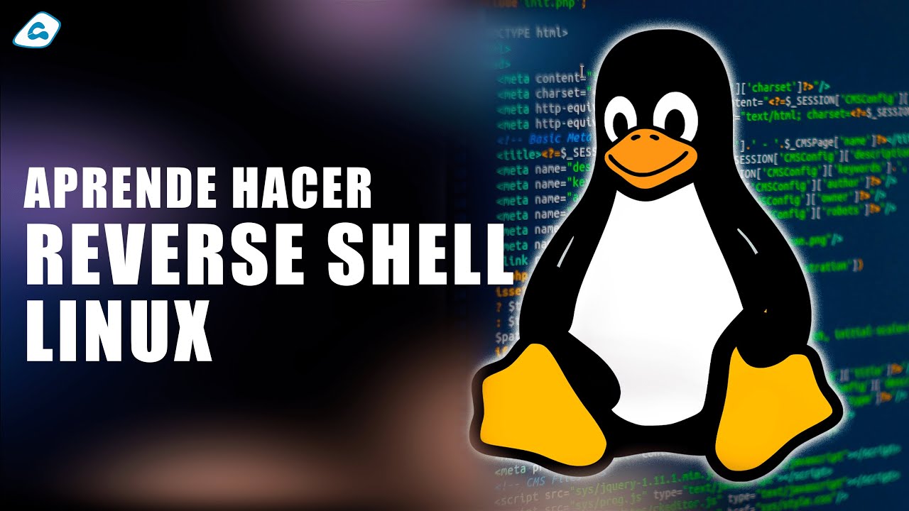 Usando MSVENOM para generar un script a otra maquina linux - YouTube