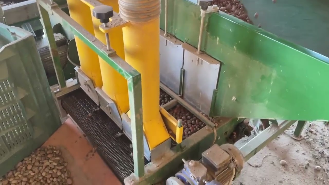 Impianto di prepulitura e pulitura nocciole