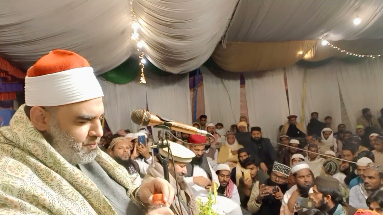 الشيخ عمرو الدماريسي النمل بهاولپور باكستان 2022