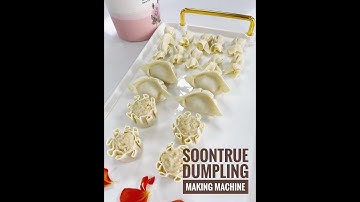 Automatic dumpling machine - Soontrue packing machine manufacture