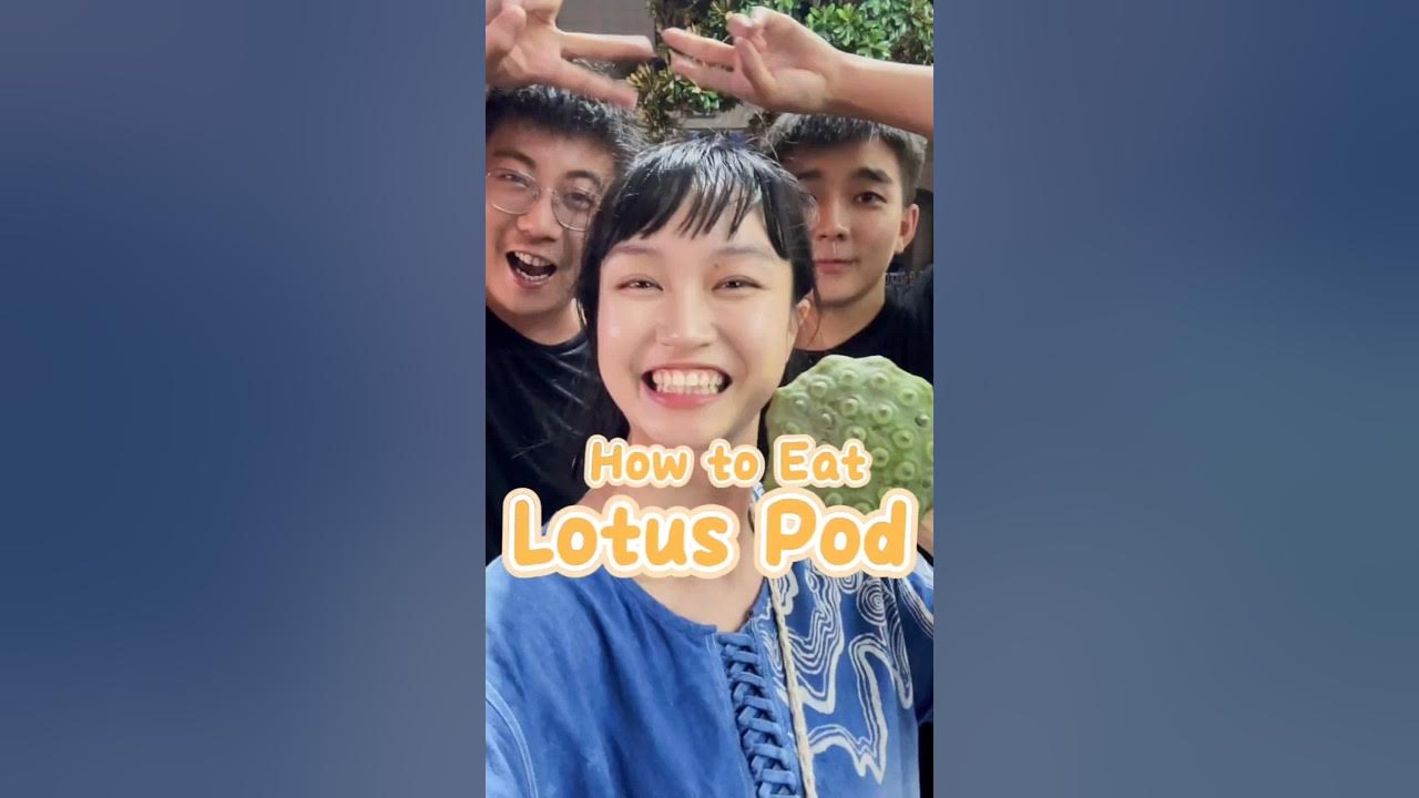 Do you know how to eat lotus seed?😋foodie YouTube