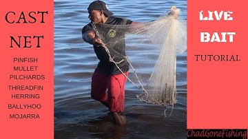 How To: CAST NET for LIVE BAIT! CAST NETTING FOR: Pinfish, Ballyhoo, Mullet, Threadfin Herring, Etc