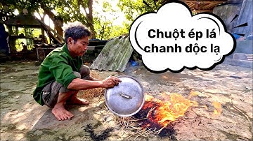 Thưởng Thức Món Chuột Nướng Giềng & Chuột Ép Lá Chanh Siêu Độc Lạ Của Bác Thông | HUY ANH TV