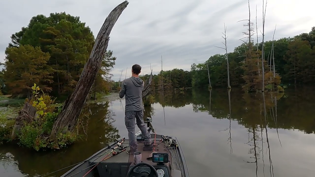 Bass Fishing at the River with a Buzz Bait, Caffeine Shad, and Toad