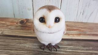 Cute Owls Are the Adorable Animals in the World 🤣 Funniest Animals Video Ever