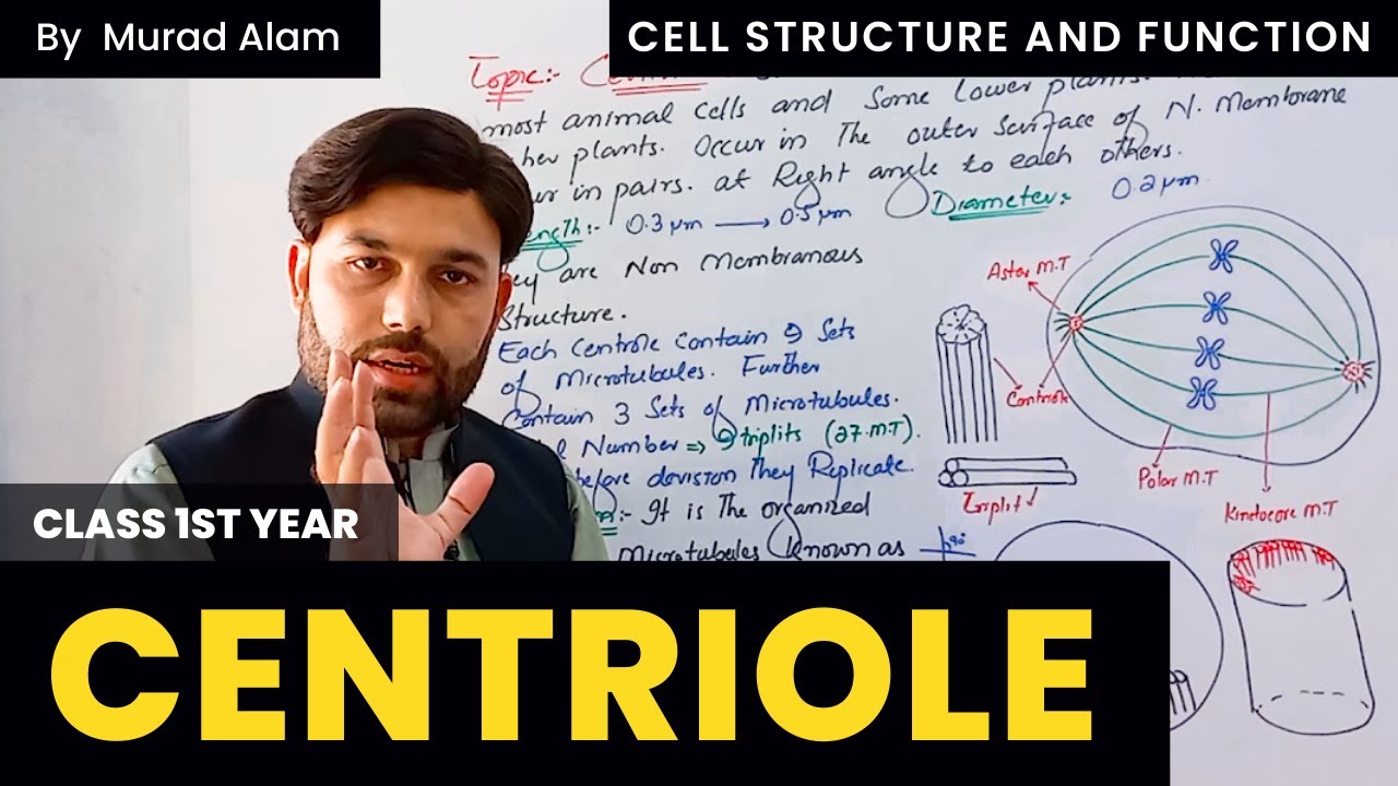 Centriole l Biology 1st year in Urdu/Hindi l Chapter 1 l Grade 11