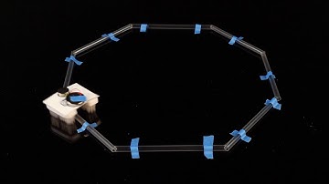 Line Following Bristlebot