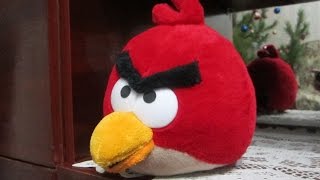 Чего боится кошка Матрёшка? Чего боится кошка Матрёшка?
