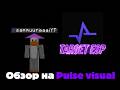снял обзор на визуальный мод pulse visuals сайт мода pulsevisuals.pro