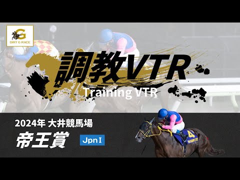 【現地的中】単勝馬券 第19回 帝王賞 ホクトベガ 帝王賞2025】全頭パドック 現地映像 ミッキーファイト - YouTube