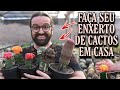 Como ter sucesso na ENXERTIA DE CACTOS - PASSO A PASSO