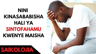 NINI KINASABABISHA SINTOFAHAMU KWENYE MAISHA