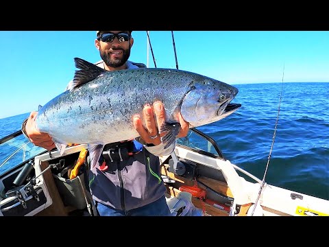 King Salmon didn't want the baithad to get creative! 