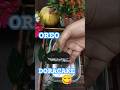 OREO DORA CAKE 😋😍#shorts #oreo #oreocake #ytshorts #short #reels #shortsvideo #trending #shortsfeed