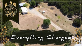 What the Drought Revealed About Our Texas Homestead