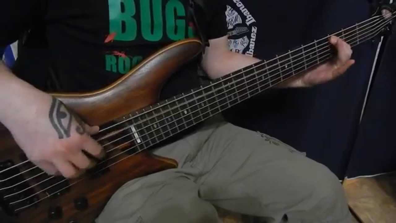 Twelve Foot Ninja - Kingdom (cover by TheEthnor)