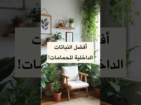 أفضل النباتات الداخلية للحمامات   