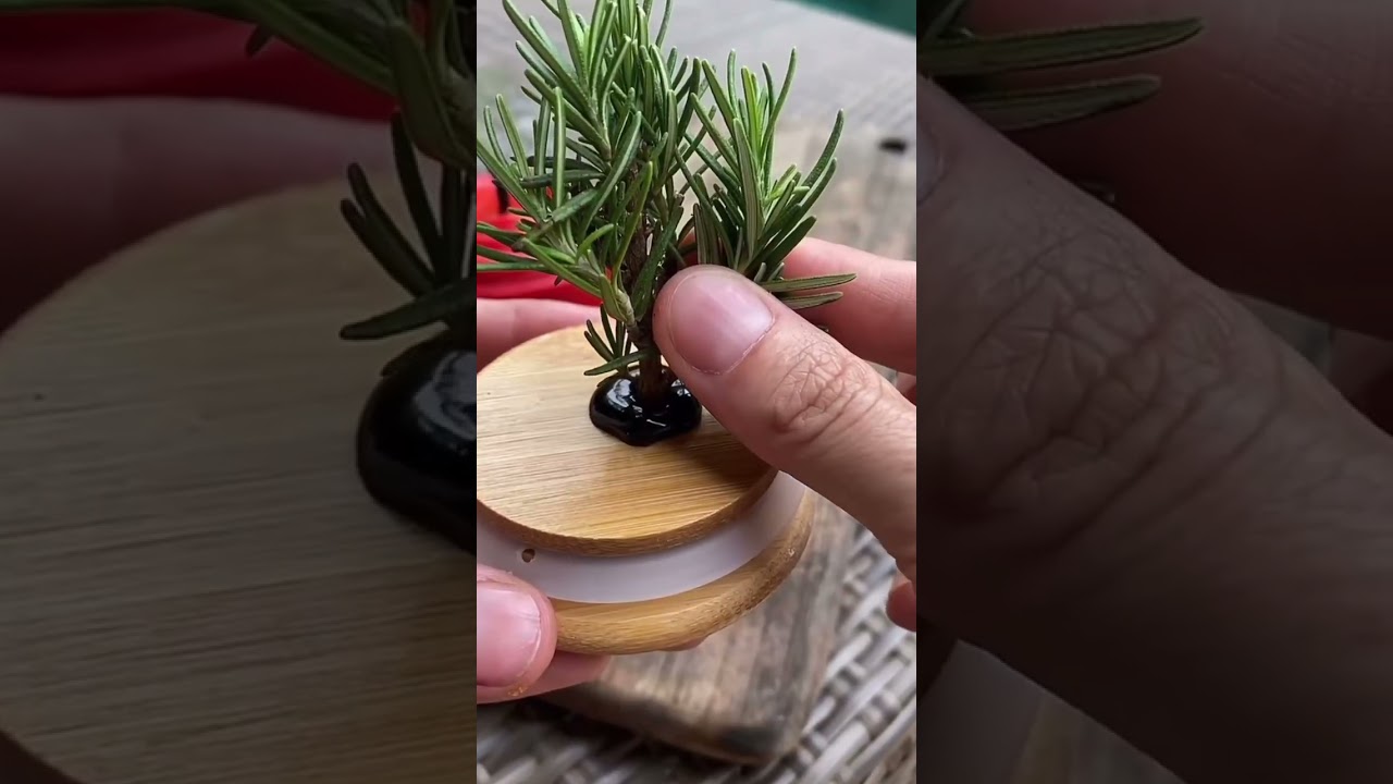 Новогодний коктейль или лайфхак как незаметно пронести свое