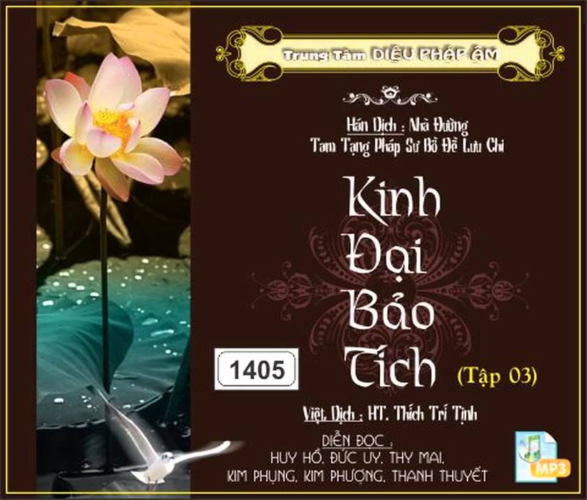 13_37, Pháp hội - Bồ Tát Tạng (tt) - K.Đại Bảo Tích tập 03 