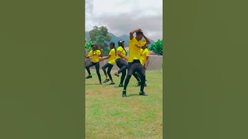 Thumbnail of Les AMIS Dance