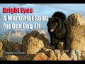 Bright Eyes - Memorial Song for Our Dog Eli
